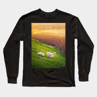 A goat with two little kids Long Sleeve T-Shirt